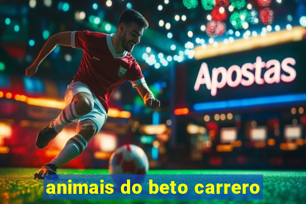 animais do beto carrero